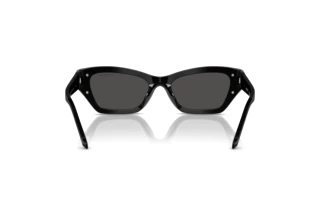 Rear view Swarovski SK6029 (100187)