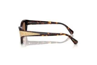 Side view Swarovski SK6029 (100273)