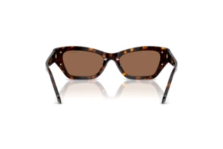 Rear view Swarovski SK6029 (100273)