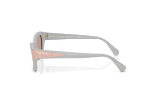 Side view Swarovski SK6029 (10317N)