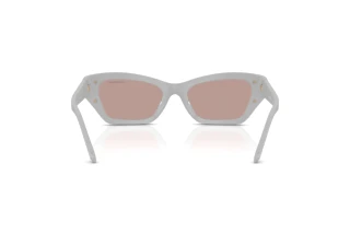 Rear view Swarovski SK6029 (10317N)