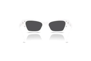 Rear view Swarovski SK6029 (10506G)