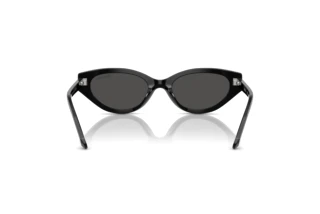 Rear view Swarovski SK6030 (100187)