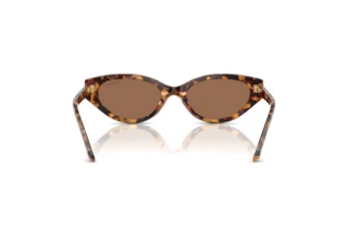Rear view Swarovski SK6030 (104073)