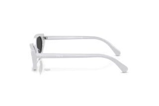 Side view Swarovski SK6030 (106087)