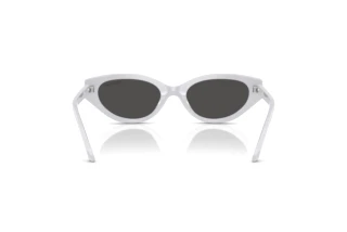 Rear view Swarovski SK6030 (106087)