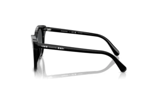 Side view Swarovski SK6031 (1001T3)