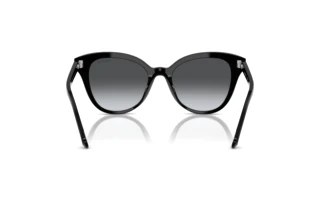 Rear view Swarovski SK6031 (1001T3)