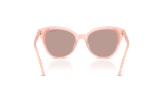 Rear view Swarovski SK6031 (10317N)