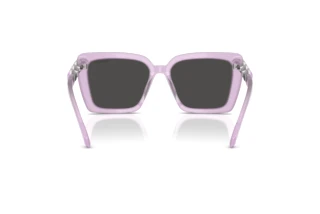 Rear view Swarovski SK6032 (107587)