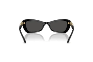 Rear view Swarovski SK6033 (100187)
