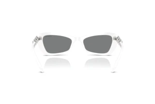 Rear view Swarovski SK6033 (105087)