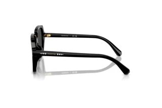 Side view Swarovski SK6034D (100187)