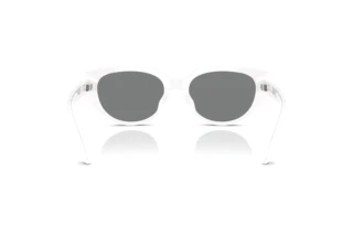 Rear view Swarovski SK6035D (105087)