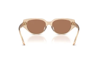 Rear view Swarovski SK6035D (106673)