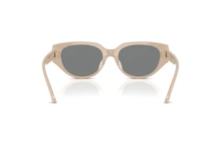 Rear view Swarovski SK6035D (106887)