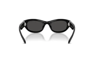 Rear view Swarovski SK6036U (103887)