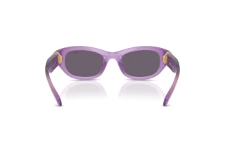Rear view Swarovski SK6036U (10751A)