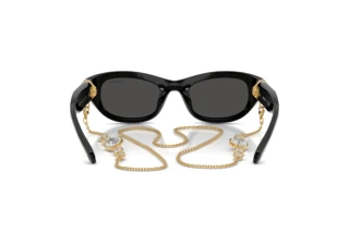 Rear view Swarovski SK6036U (107687)