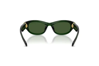 Rear view Swarovski SK6036U (108171)