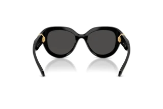 Rear view Swarovski SK6037 (100187)