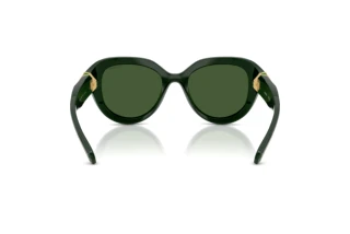 Rear view Swarovski SK6037 (102671)