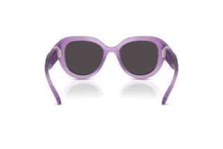 Rear view Swarovski SK6037 (107587)
