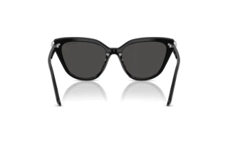 Rear view Swarovski SK6039 (100187)