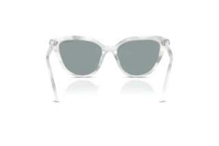 Rear view Swarovski SK6039 (1042/1)