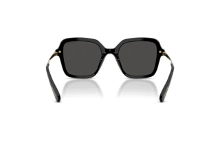 Rear view Swarovski SK6040 (100187)