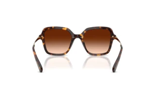 Rear view Swarovski SK6040 (100274)