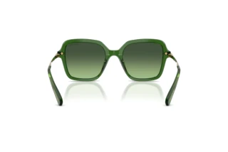 Rear view Swarovski SK6040 (10812A)