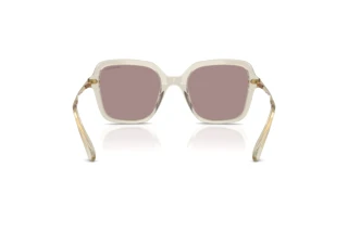 Rear view Swarovski SK6040 (3003LA)