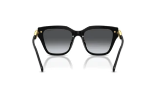 Rear view Swarovski SK6041 (1001T3)