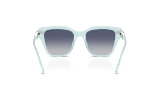 Rear view Swarovski SK6041 (10244L)