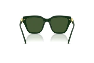 Rear view Swarovski SK6041 (102671)