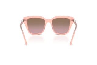Rear view Swarovski SK6041 (104114)