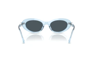 Rear view Swarovski SK6042 (107887)