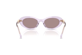 Rear view Swarovski SK6042 (1079LA)