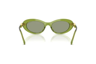 Rear view Swarovski SK6042 (3002/2)