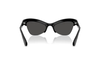Rear view Swarovski SK6043 (100187)