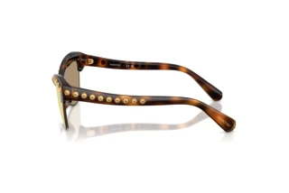 Side view Swarovski SK6043 (100271)