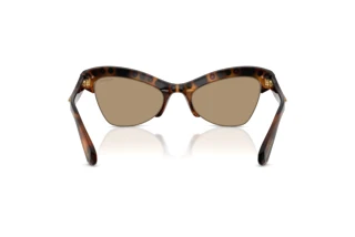 Rear view Swarovski SK6043 (100271)