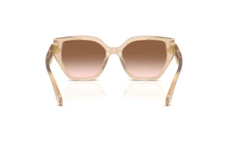 Rear view Swarovski SK6044U (103413)