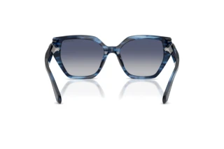 Rear view Swarovski SK6044U (10904L)