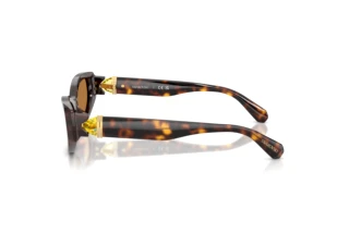 Side view Swarovski SK6045U (100273)
