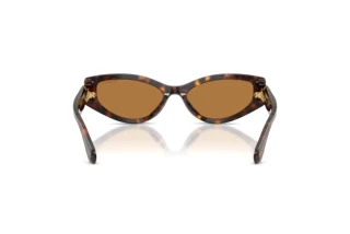 Rear view Swarovski SK6045U (100273)