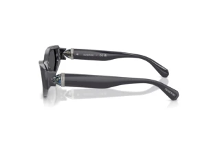 Side view Swarovski SK6045U (10836G)