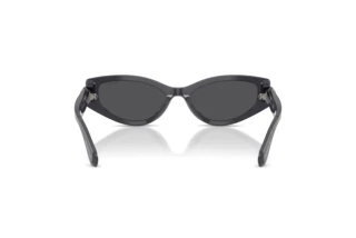 Rear view Swarovski SK6045U (10836G)