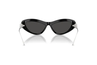 Rear view Swarovski SK6046 (100187)